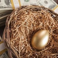 Nest Egg Money