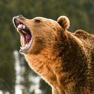 3 Fallen Angels to Boost Your Portfolio Returns