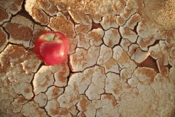 Food insecurity becoming a national health problem that physicians can help