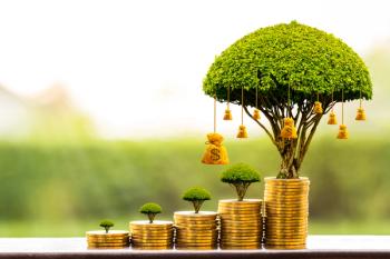 money tree