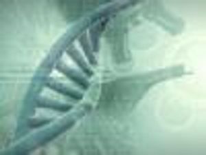 Biotech Sizzles in Public Markets