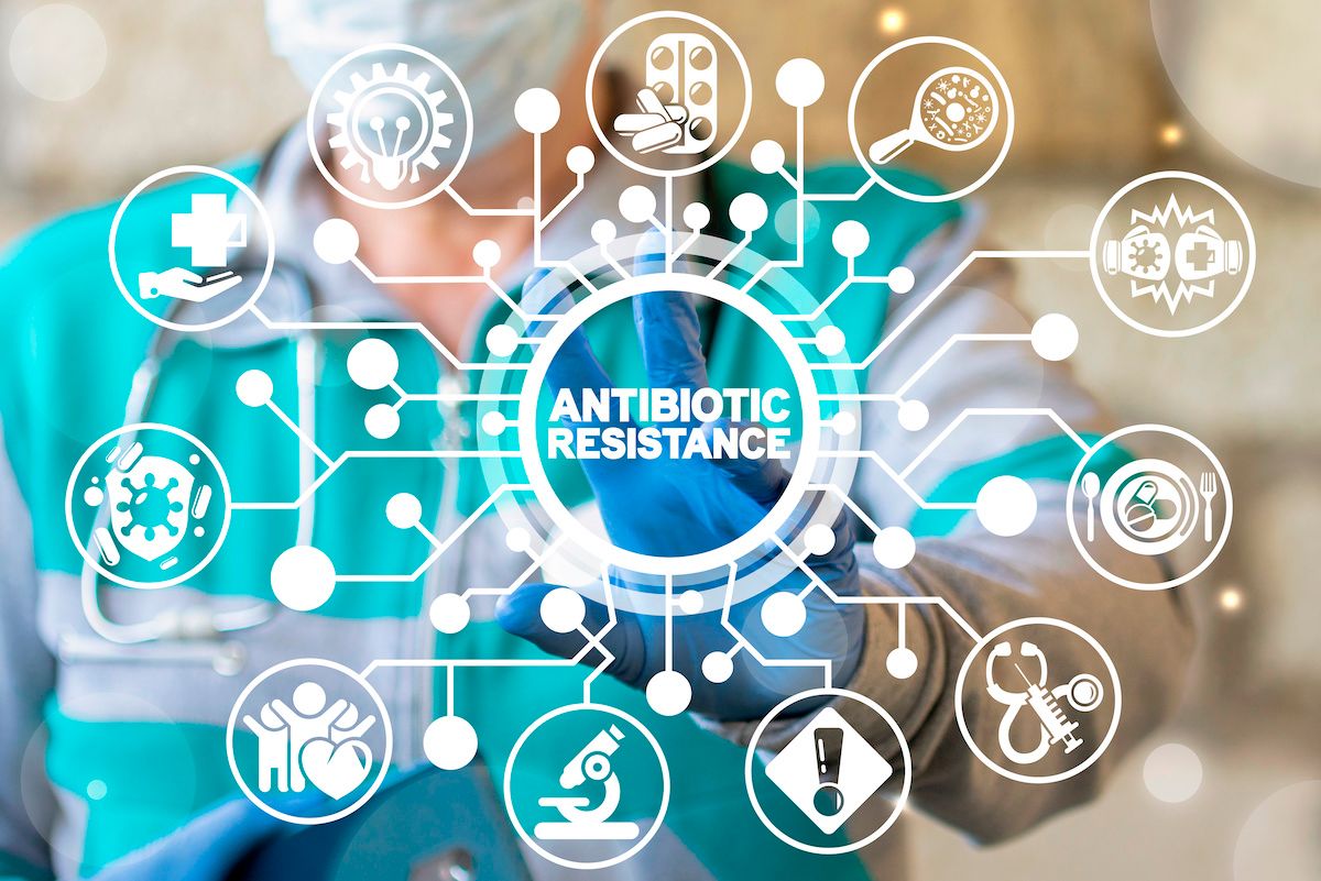 Targeted alerts may help doctors choose the right antibiotic: © wladimir1804 - stock.adobe.com
