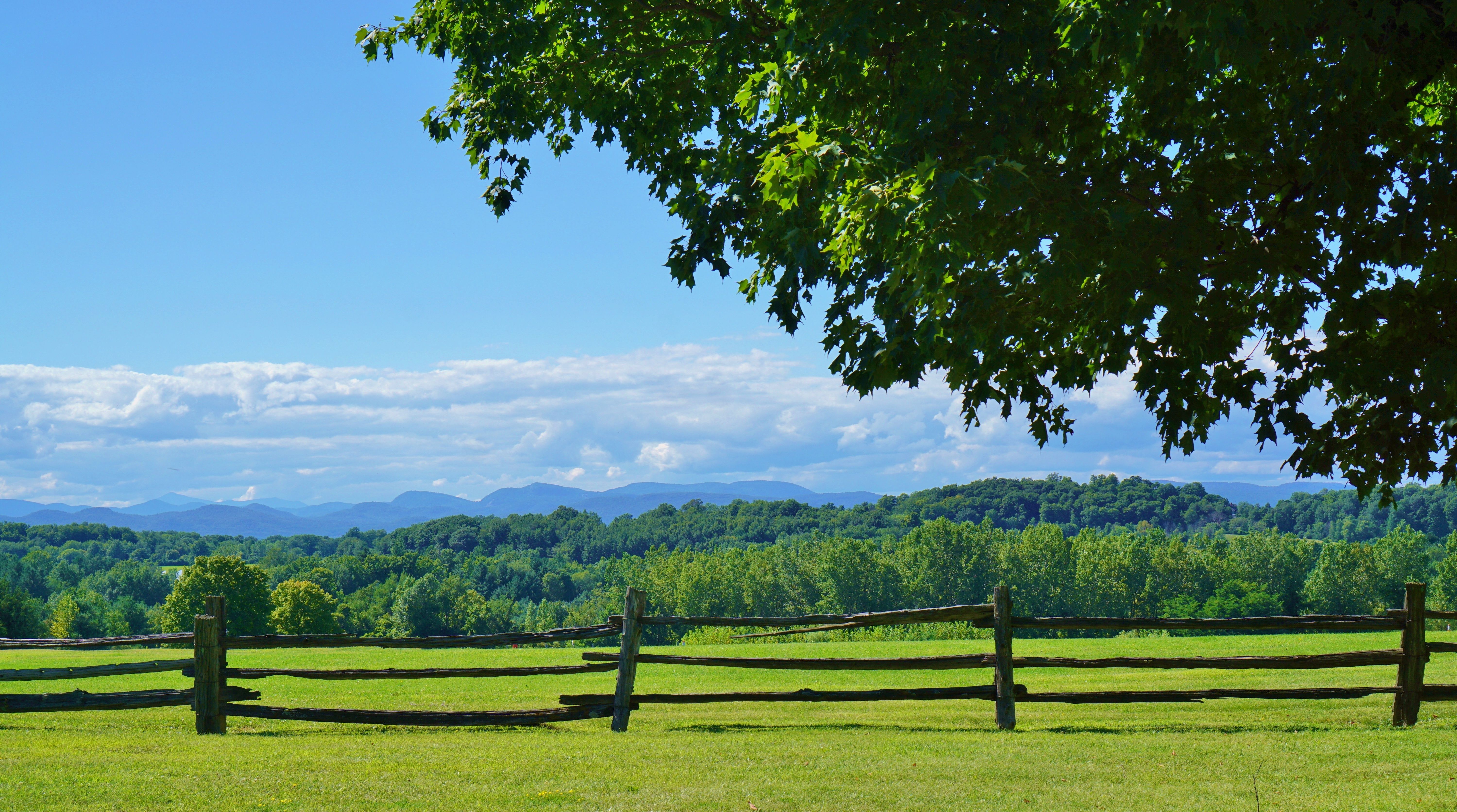 farm fence greenery 