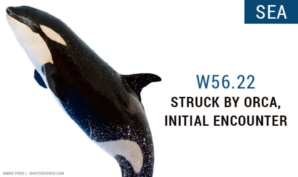 18 weird ICD-10 codes