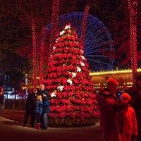 5 Perfect Places To See Holidays Lights