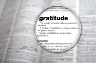 gratitude