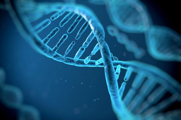 GeneDx genomic tests receive FDA Breakthrough Designation: ©Vitstudio - stock.adobe.com