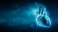 Cardiosense receives FDA authorization for AI heart failure monitor: ©Matthieu - stock.adobe.com