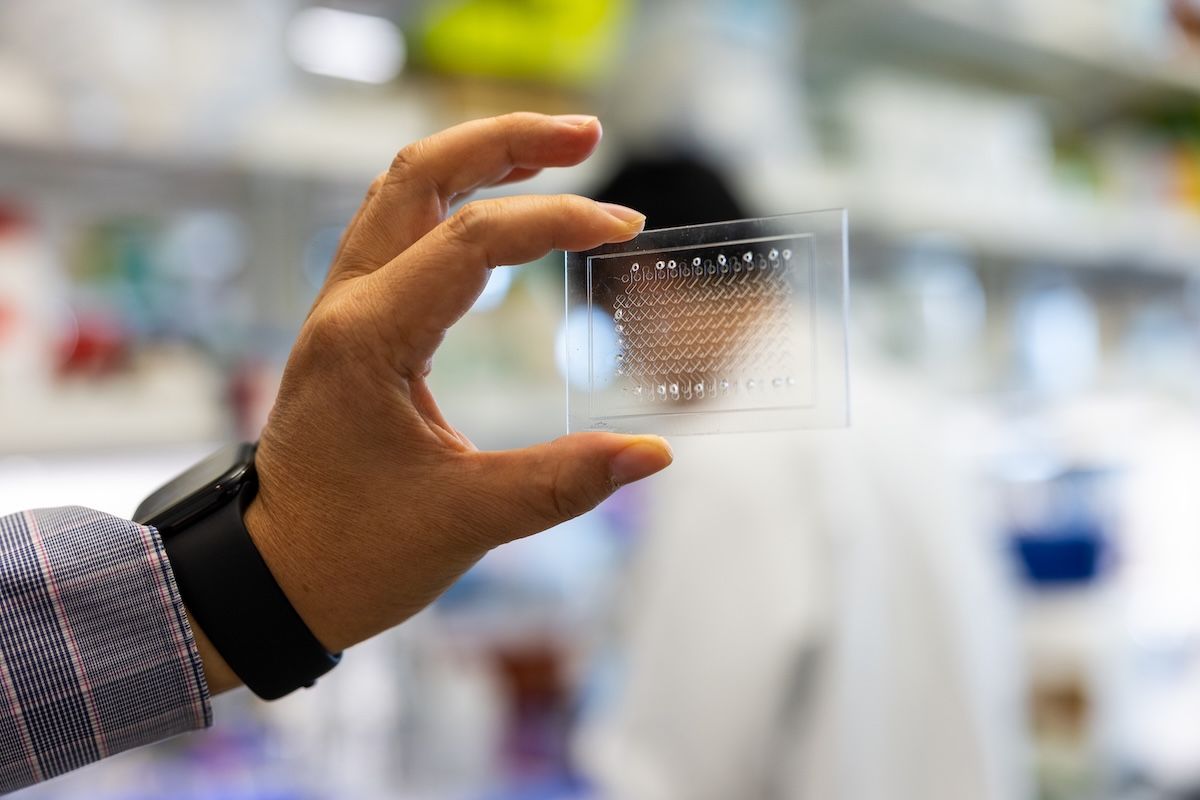 Morning Medical Update © Vincent Postle/Tulane University