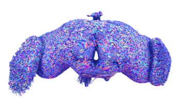 © National Institutes of Mental Health