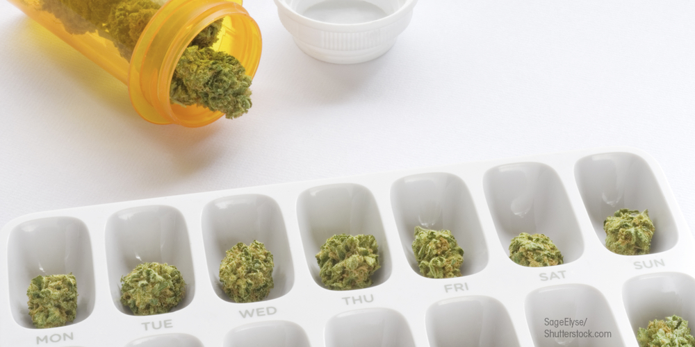 Understanding the business of medical marijuana