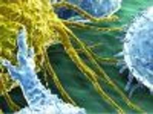 Increased Life Spans Come at a Price