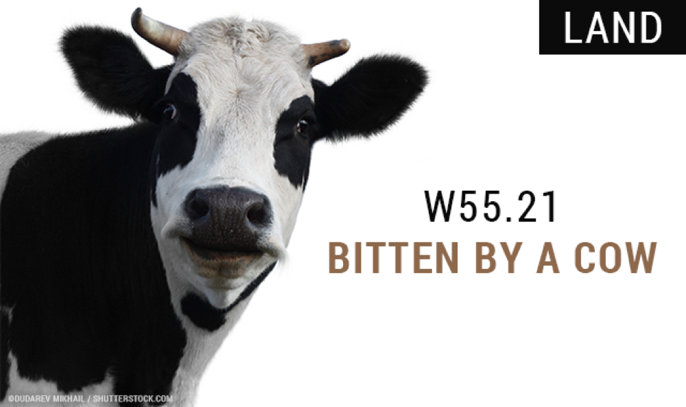 18 weird ICD-10 codes