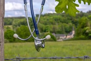 What actually keeps physicians in rural practice