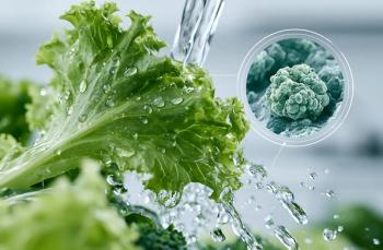 AI illustration cyclospora lettuce: © Evgeniia - stock.adobe.com