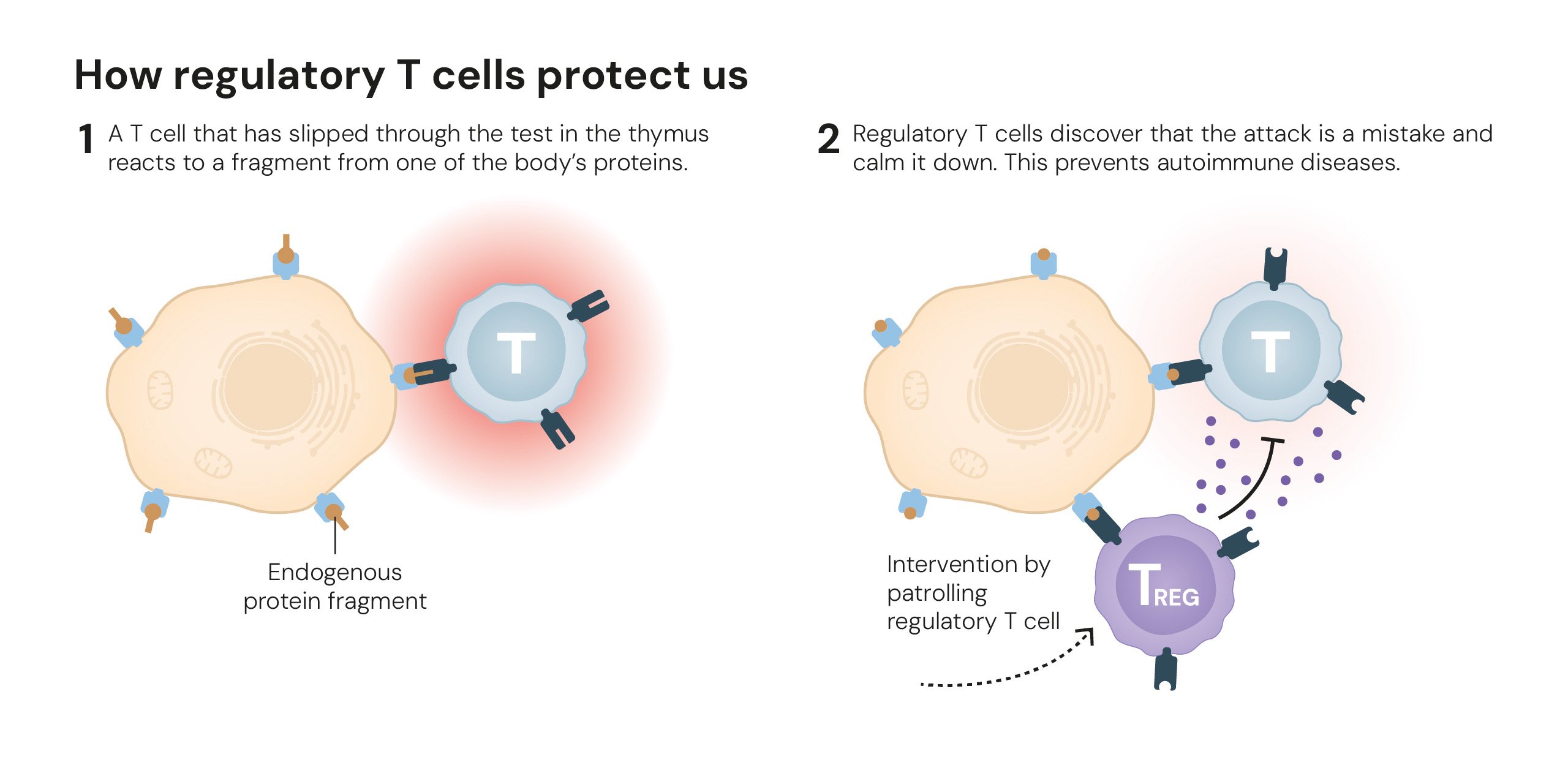 © Nobel Committee