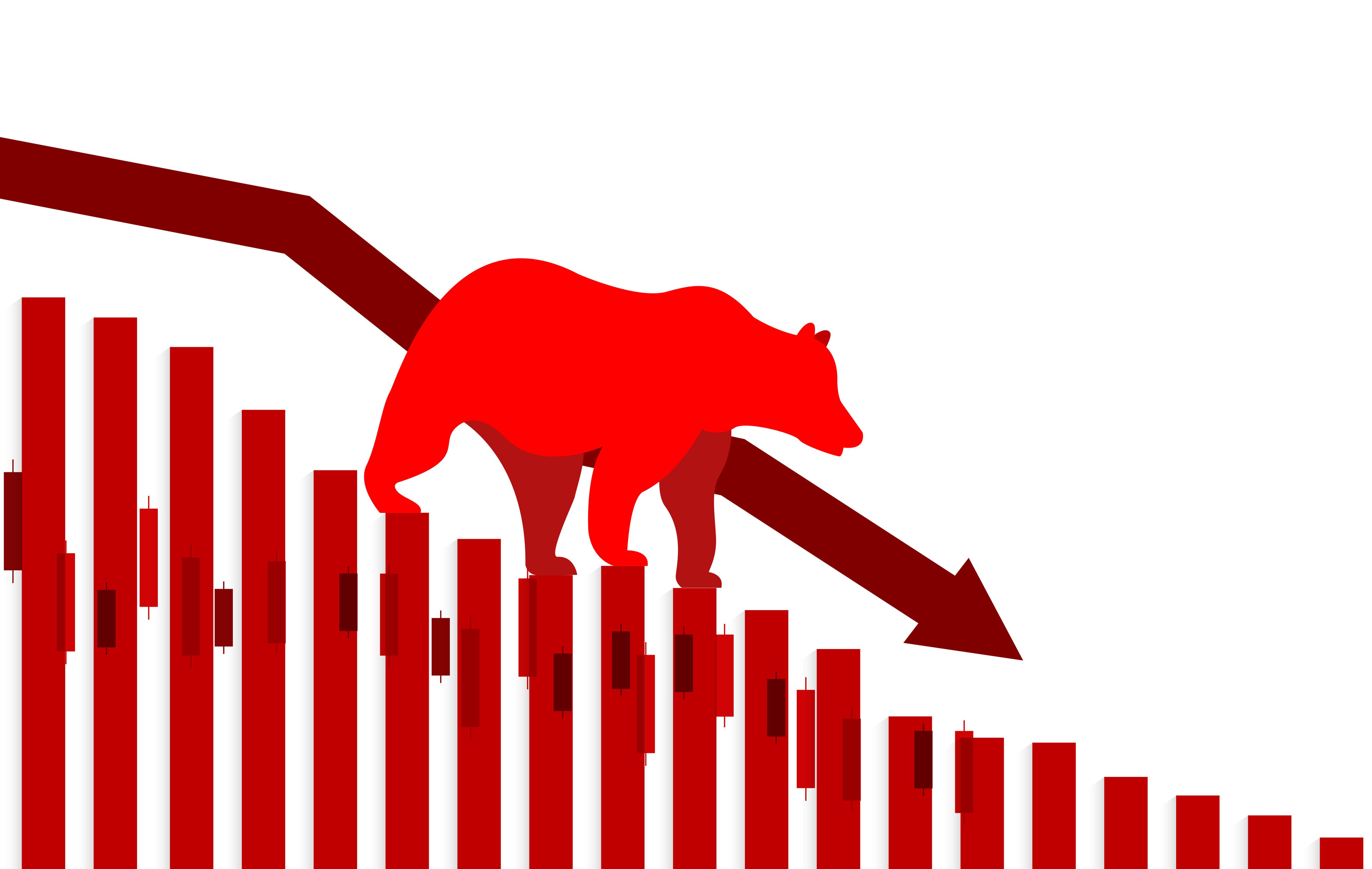 market bear @ lim_pix - stock.adobe.com