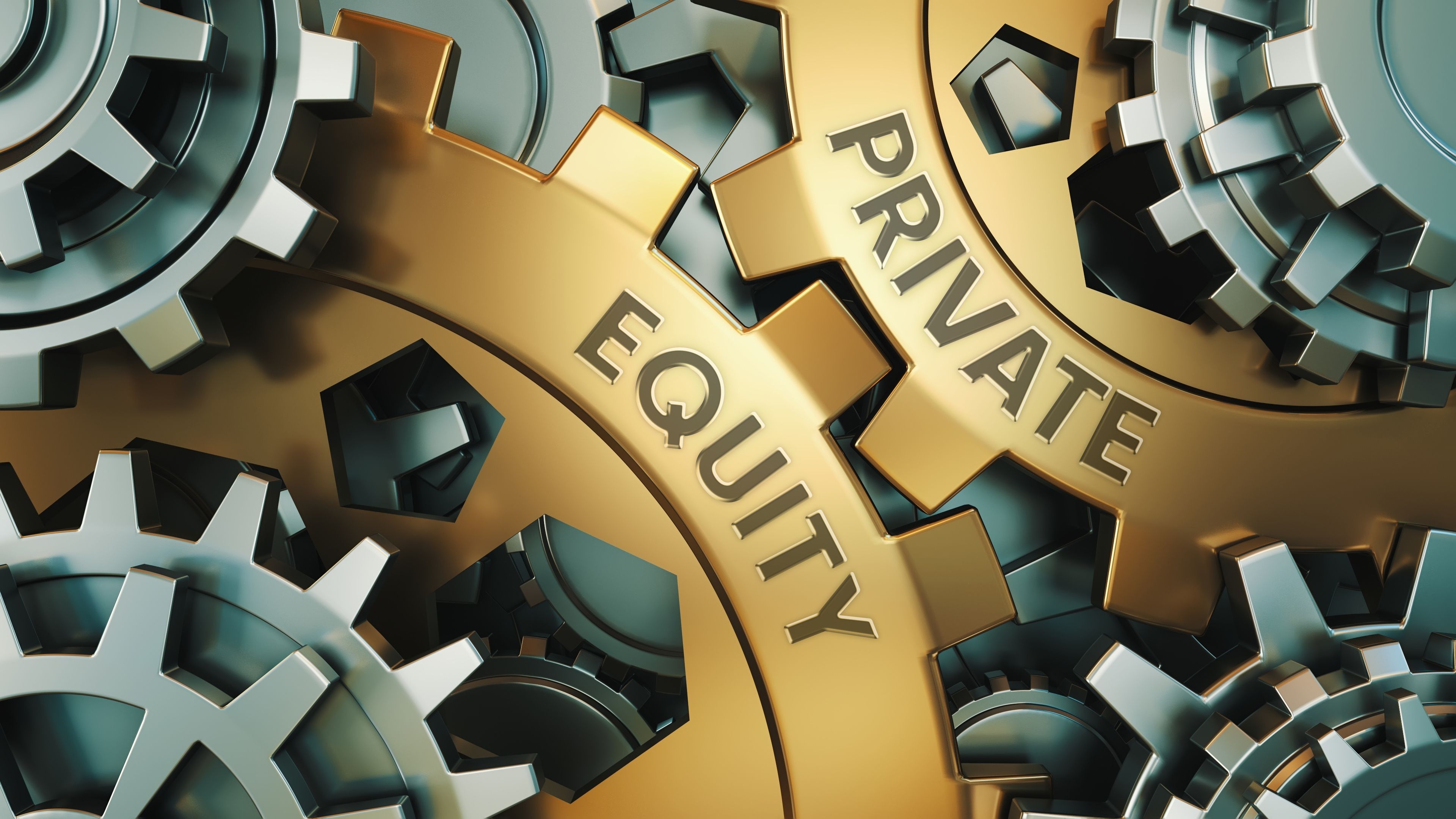 Private equity drives up costs: ©Pavel - stock.adobe.com