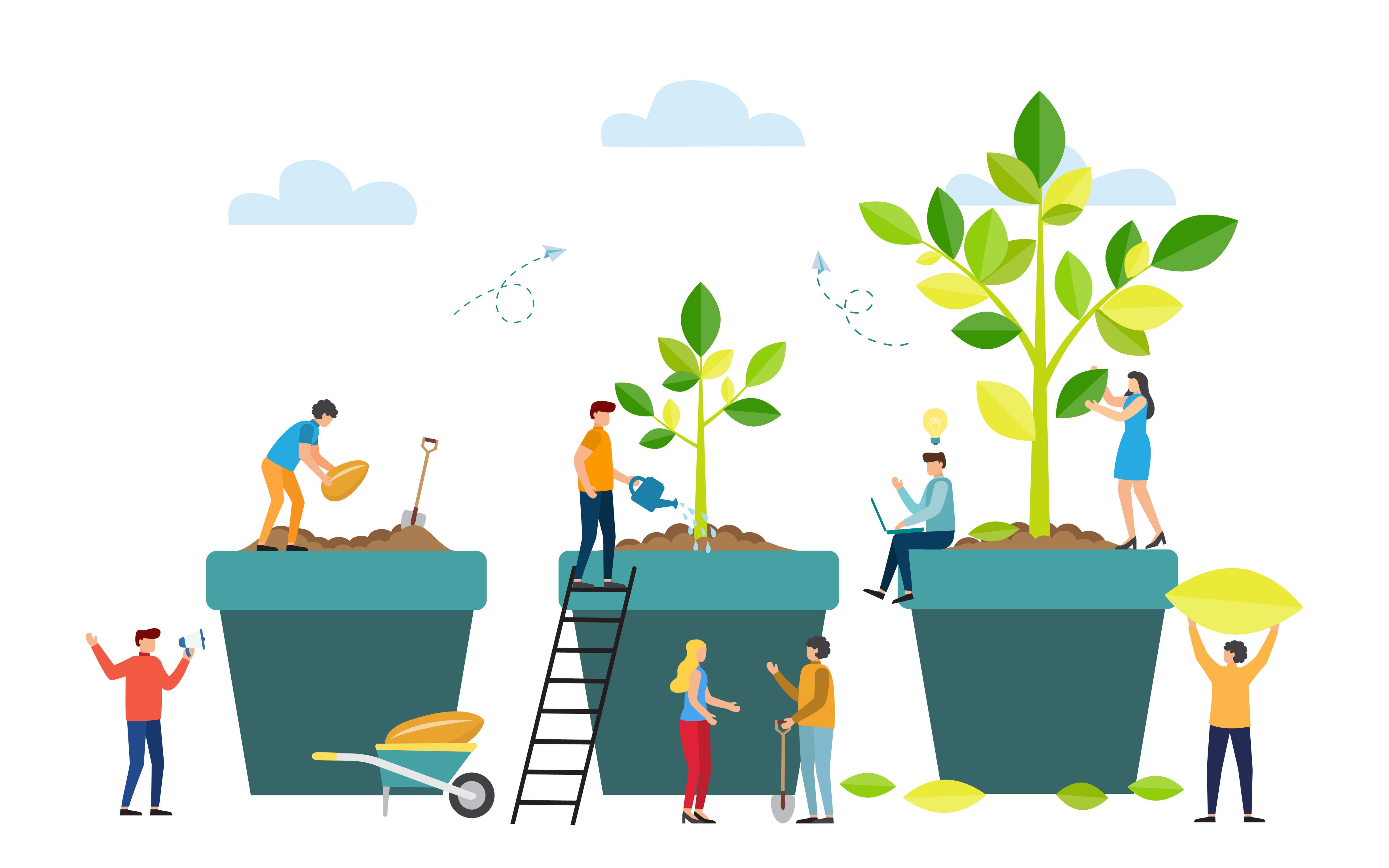 people taking care of three potted plants
