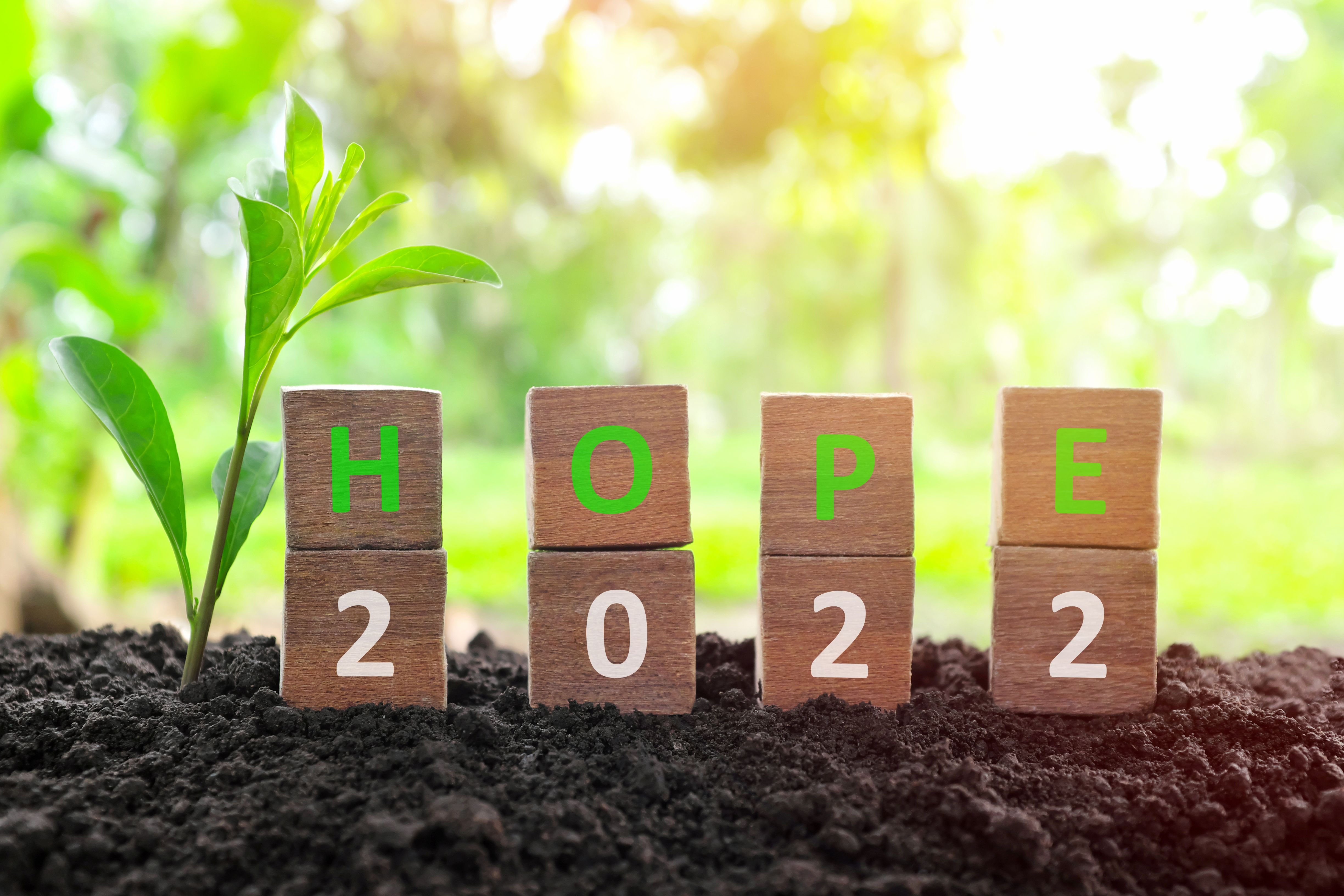 hope 2022 growth