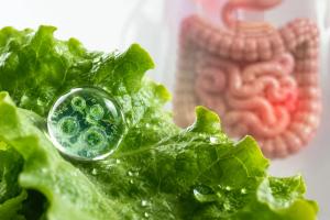 Cyclosporiasis outbreak: 13 things primary care physicians need to know right now