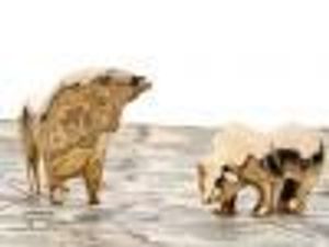 Now May Be the Time to Listen to the Bears