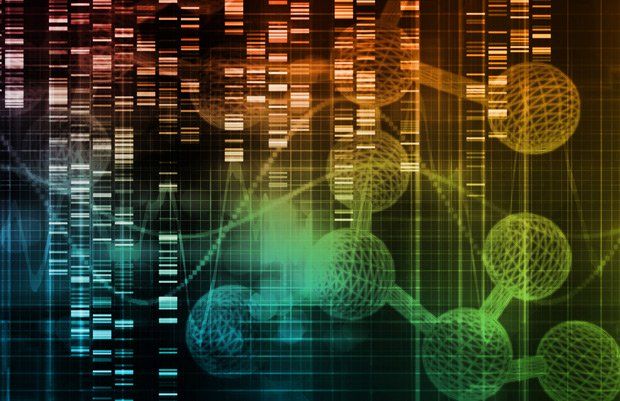 genomics, genetics, precision medicine, primary care 