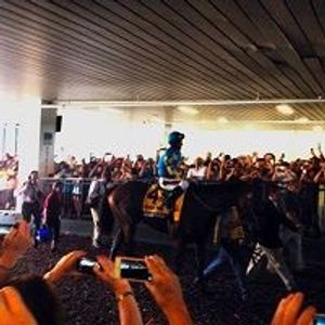 My Day with American Pharoah (and a Doctor Connection)