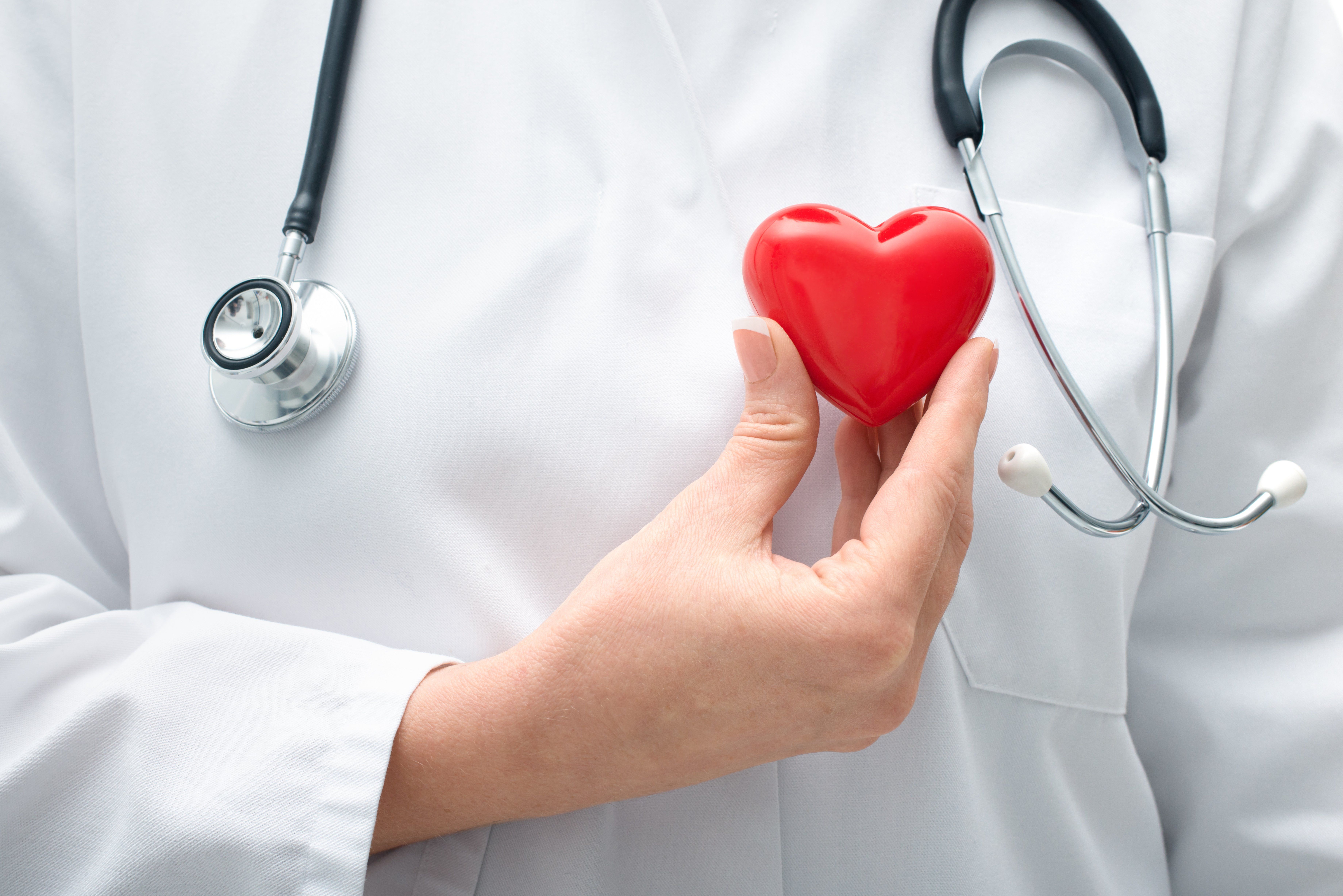 Сердце человека и доктор. Стетоскоп сердце. Фонендоскоп и сердце. Стетоскоп сердечком. Врач с сердцем.
