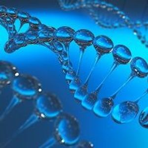 3 Excellent Biotech Stocks to Buy on the Dip