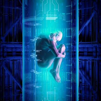 © grandeduc - stock.adobe.com