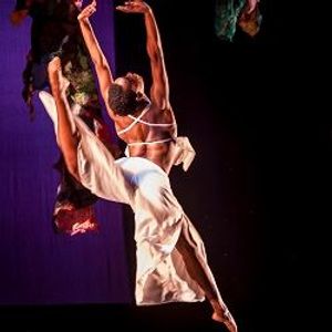 National Black Theatre Festival Showcases Black Experience 