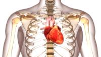 AtriCure starts trial to address afib: ©Magicmine - stock.adobe.com