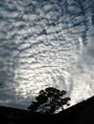 Avoiding Three New Financial Threats to Your Group Practice - Part II