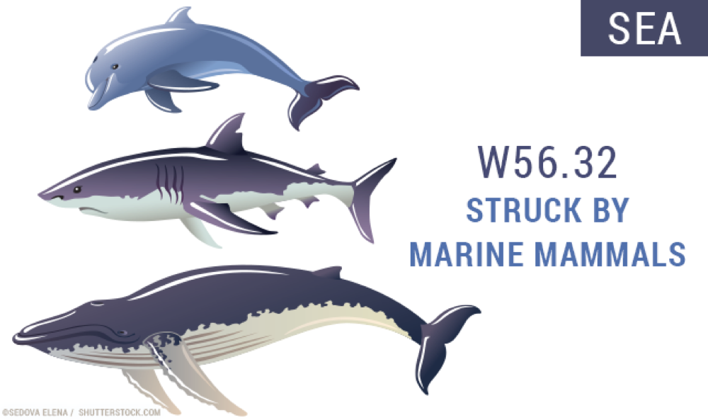 18 weird ICD-10 codes