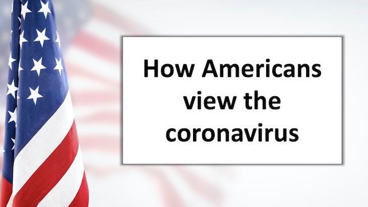 COVID American Flag