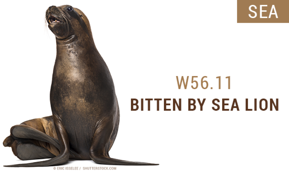 18 weird ICD-10 codes