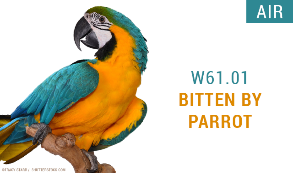 18 weird ICD-10 codes