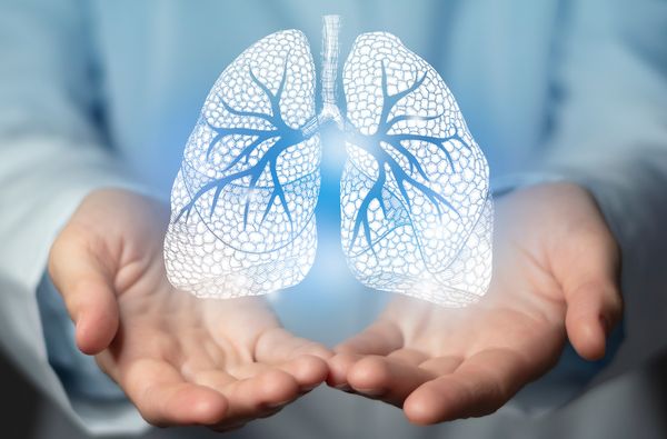 FDA approves device for ex vivo lung perfusion: ©Mi Viri - stock.adobe.com