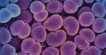 gonorrhea