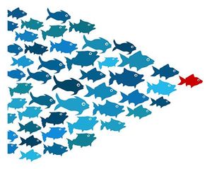 Why a physician may be the best choice to lead an ailing organization