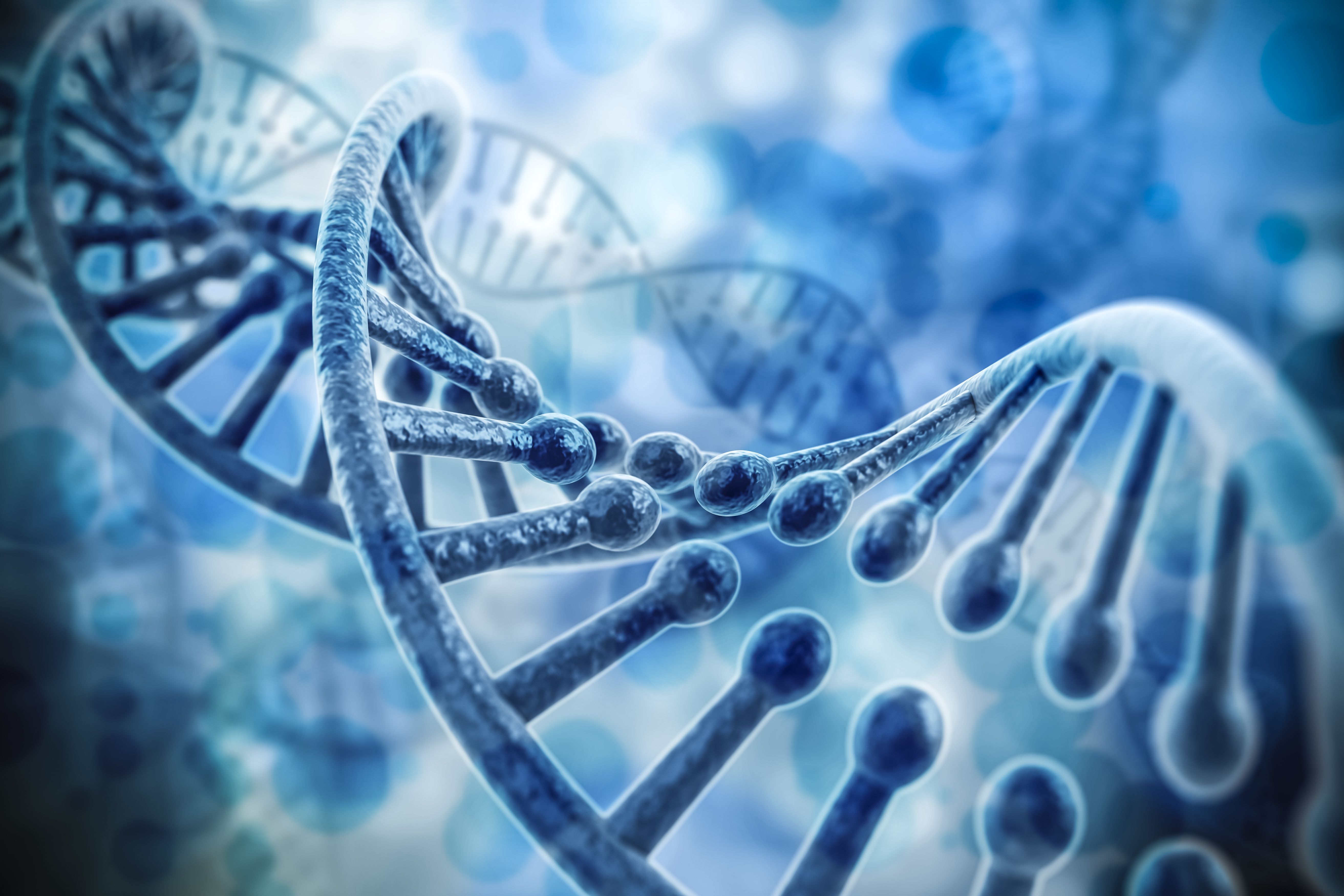 closeup of gene sequence