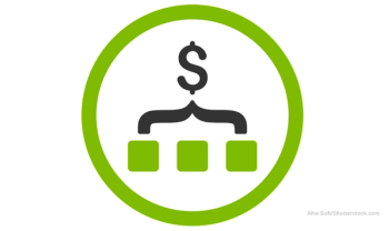 Budget for practice success