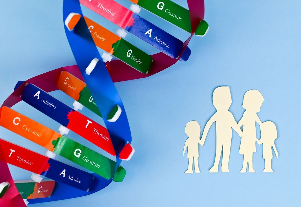 dna helix structure family paper model: © joy - stock.adobe.com