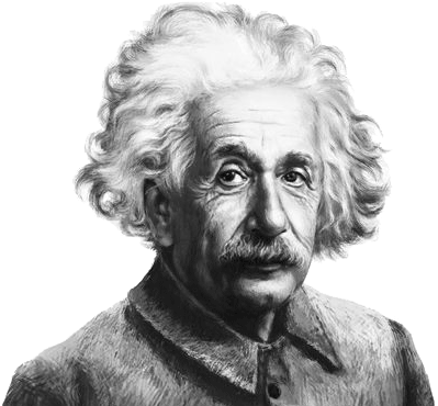 © Albert Einstein College of Medicine