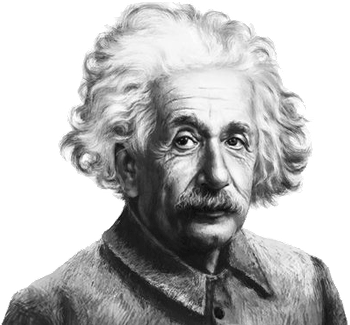 © Albert Einstein College of Medicine