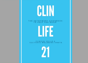 Wellbeing Checkup: Meet the Authors behind "ClinLife-21"