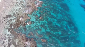 After Hours:  Exploring the Great Barrier Reef 