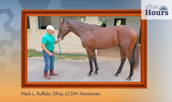 Dr. Mark Ruffalo joins After Hours.