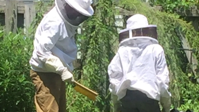 After Hours: Beekeeper